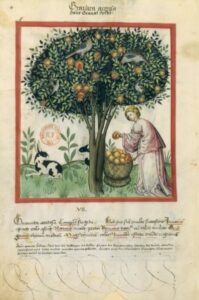 Tacuinum sanitatis - Granata acerosa - BNF Latin 9333 - fol. 4