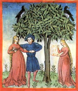 Tacuinum sanitatis - Nucce, Noix - BNF Latin 9333 - 13