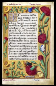 Grandes Heures Anne de Bretagne, Evangile de Jean - enl. Jean Bourdichon, 1503-1508, BNF